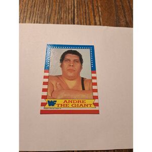 Vintage 1987 WWF Andre the Giant Wrestling Trading Card Titan Sports Raw